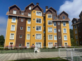 Pucon departamento
